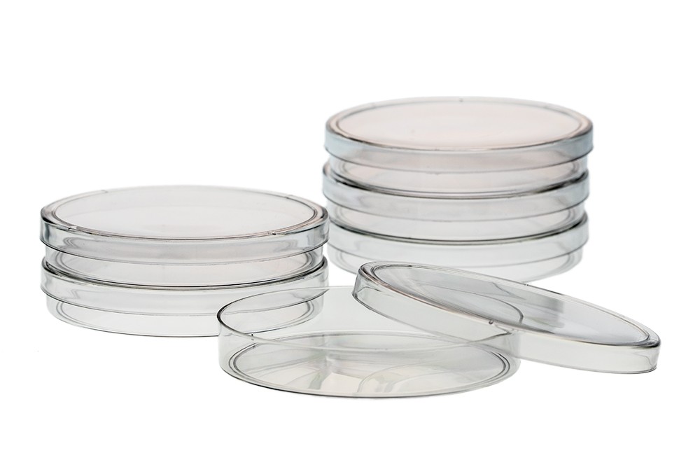 Petri dish on sale